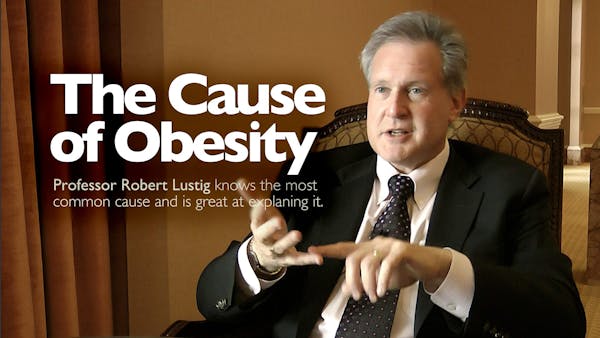 The Cause of Obesity – Professor Robert Lustig