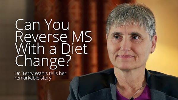 Terry Wahls Part 1