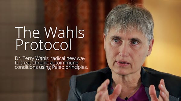 The Wahls Protocol – Dr. Terry Wahls