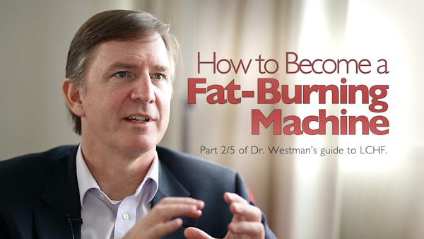Dr. Westman's Guide to LCHF 2/5: How to Become a Fat-Burning Machine