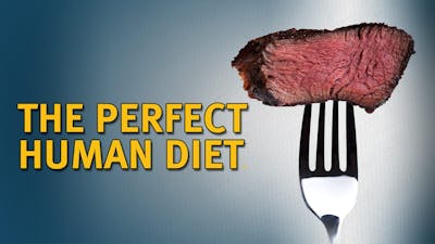The Perfect Human Diet – The Movie