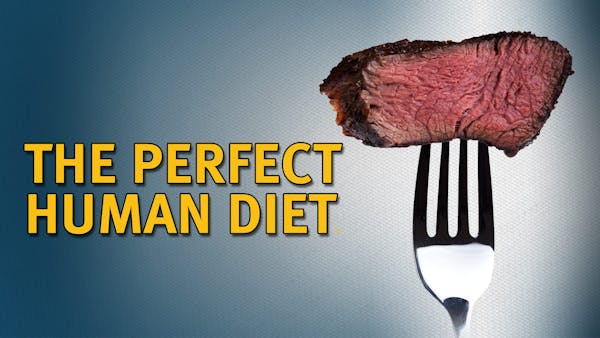 The Perfect Human Diet – The Movie