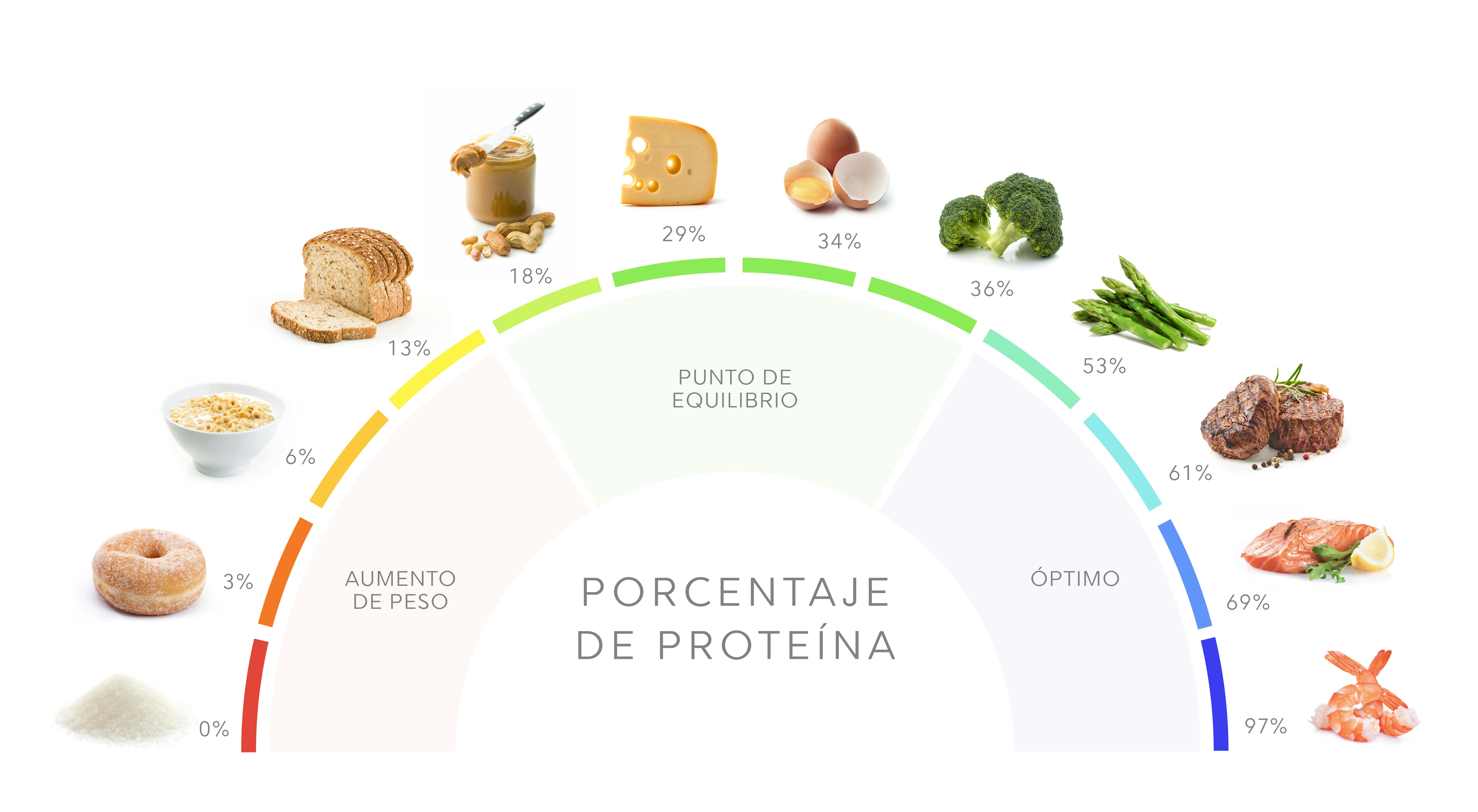 de primera categoría Decir a un lado seco Dieta Alta en Proteínas: Qué es y cómo llevarla a cabo - Diet Doctor