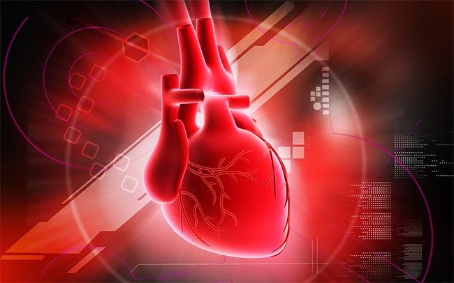 Spectacular Study on Heart Failure and the Supplement 