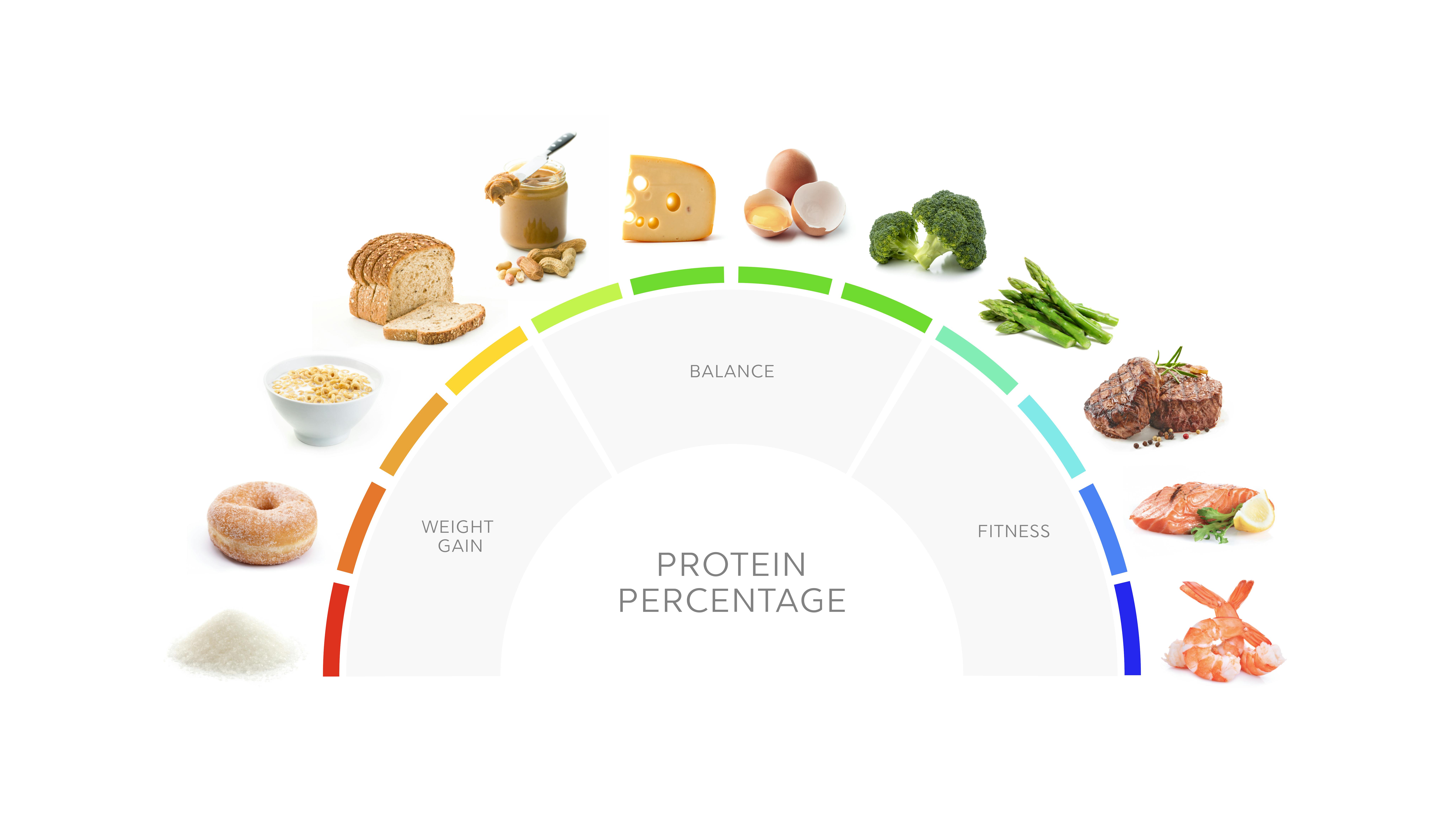 foretage stadig Ikke moderigtigt High protein diet: What it is and how to do it – Diet Doctor